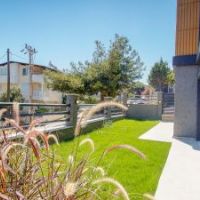 Urla / Kalabak Projesi 3